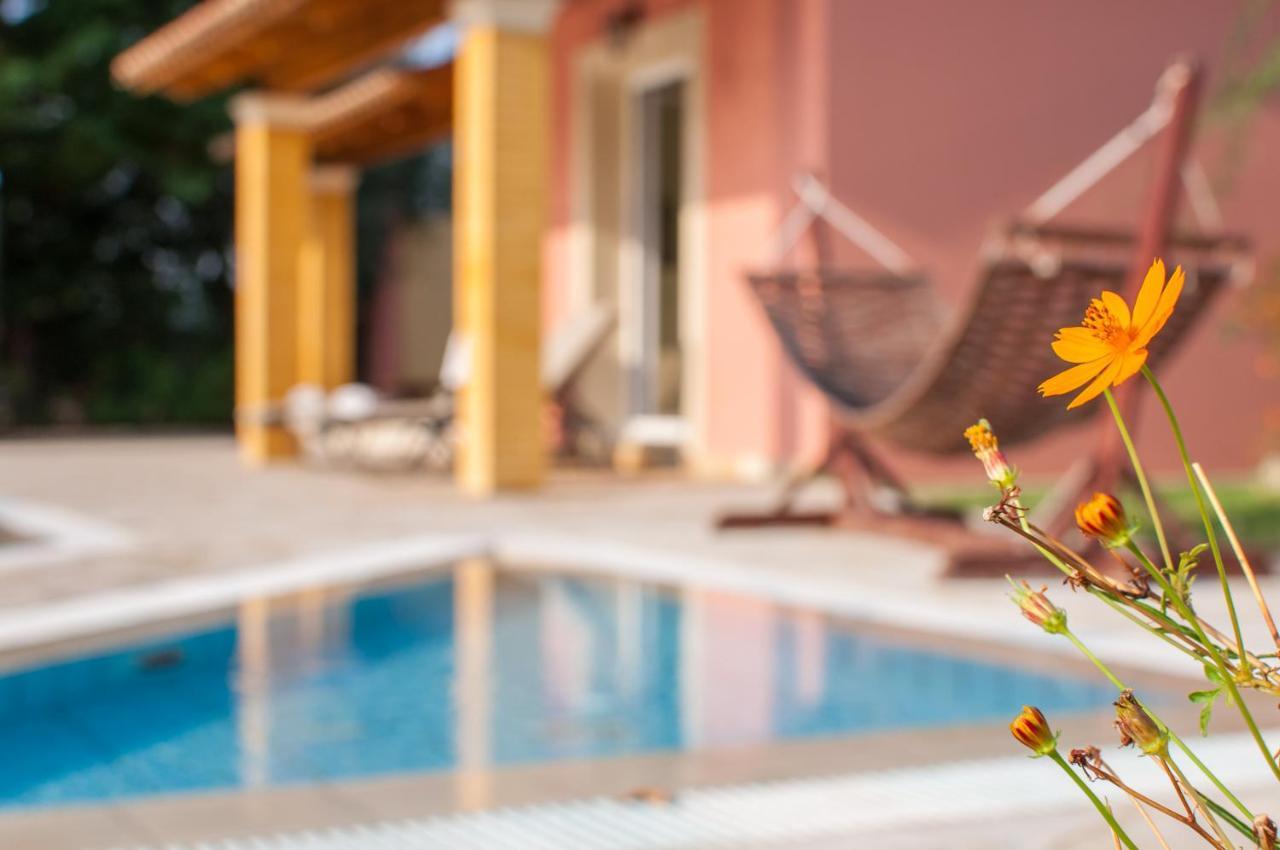 Villa Nefeli ดัสเซีย ภายนอก รูปภาพ